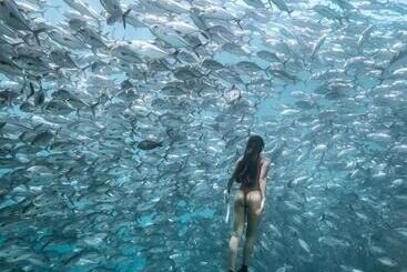 בית מלון כפרי Sipadan Inn 1