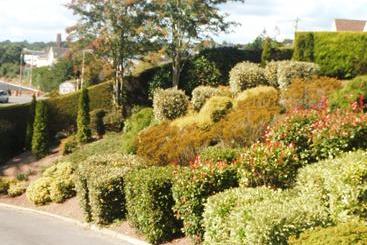 Blarney Vale B&b