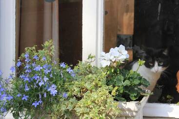 فندق La Passiflore B&b