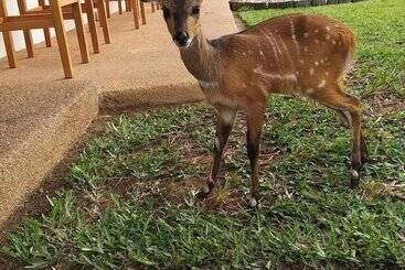 Отель Résidence Helios