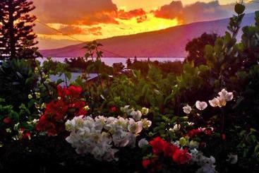 Отель Ocean Breeze Hideaway