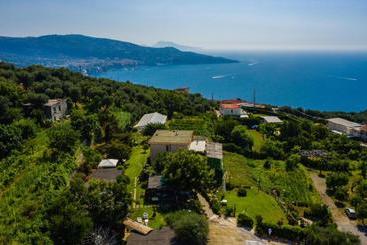 هتل Lantica Pigna Chateau