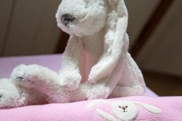 酒店 De Roos Leeuwarden