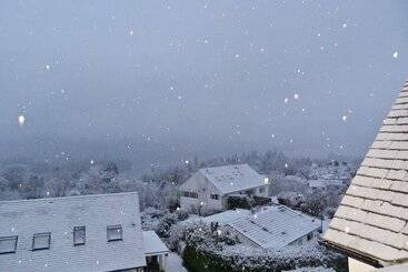 בית מלון כפרי Blenheim Lodge