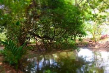 Отель Book Jungle