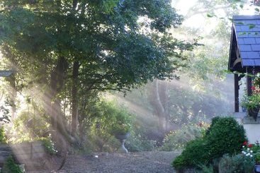 酒店 Coedllys Country House B&b