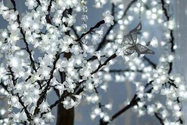 בית מלון כפרי Enchanted Manor