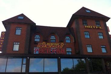 בית מלון כפרי Viking