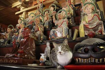 فندق Folkloro Takahata