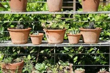 호텔 Lexden Guesthouse