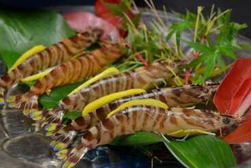 هتل Shouryuen Kaisei