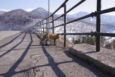 ホテル Shiretoko Village