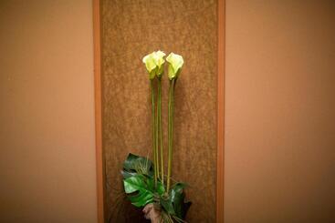 בית מלון כפרי Ryugu