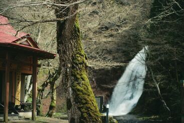 בית מלון כפרי Yutoria Fujisato