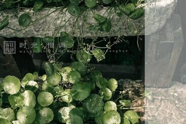 ホテル Zhangjiajie Wangyi Inn