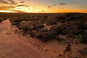 هتل Shark Bay Seafront Apartments