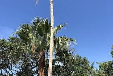 Отель Avenue O Bed And Breakfast