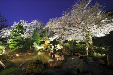 فندق Shogawa Onsen Furyu Midou Zashiki Yumetsuzuri
