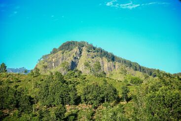 ホテル 98 Acres Resort & Spa