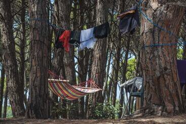 酒店 Camping Village Mare Pineta