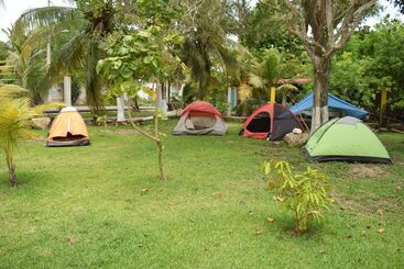 Camping Hostal El árbol De La Vida Hostel