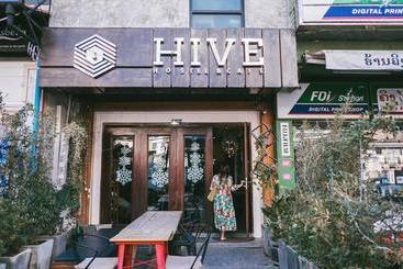 Hive Hostel  Adults Only