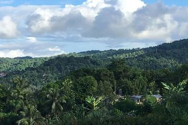 Treetops Villa