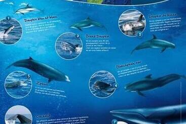 דירות לתיירים Villa Saint Michel