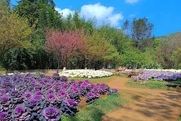 膳宿费 Baan Aingdoi Homestay