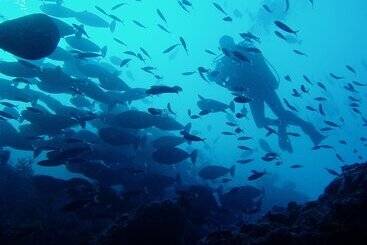 ホテル Lagoon View Maldives