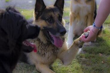 호텔 Agriturismo Pretenzano