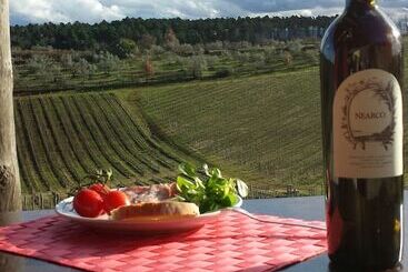 בית מלון כפרי Fattoria La Loggia