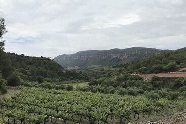 Terra Dominicata Hotel & Winery Adults Only