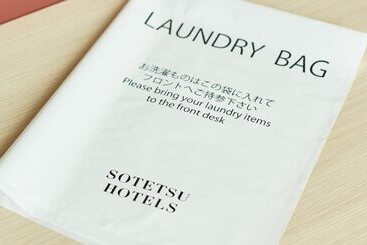 فندق Sotetsu Fresa Inn Kitahama