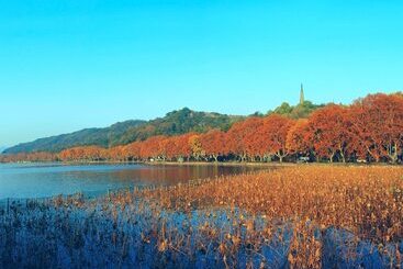 فندق Le Méridien Hangzhou, Binjiang