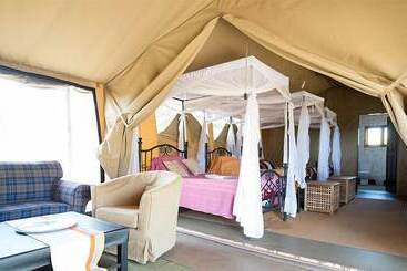 ホテル Serengeti Ikoma Wild Camp