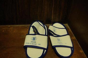 Sylvia Hotel Premier Kupang