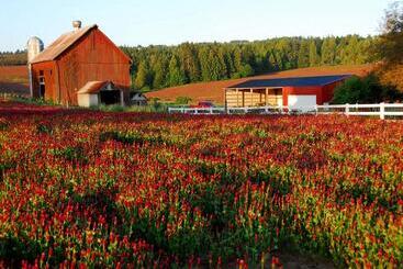 فندق Staybridge Suites   Hillsboro North, An Ihg