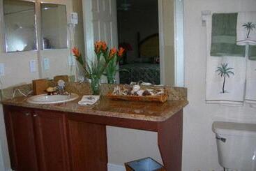 酒店 Villas At Regal Palms Resort & Spa