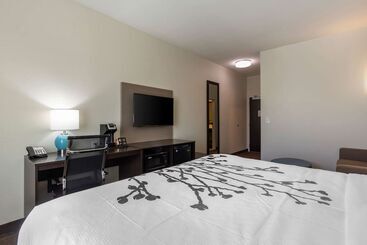 Отель Sleep Inn & Suites Tampa South