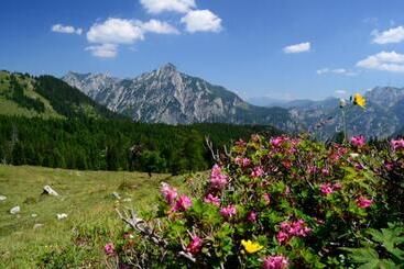 Alpenapartments Unterschlag