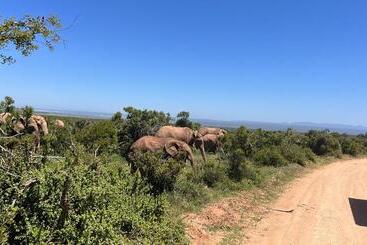 펜션 Beyond Cui Bono