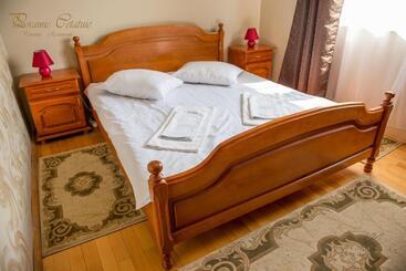 بنسيون Panoramic Cetatuie