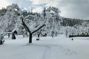 בית מלון כפרי Pension Zechnerhof