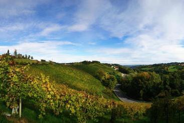 پانسیون Weingut Winzerzimmer Toso