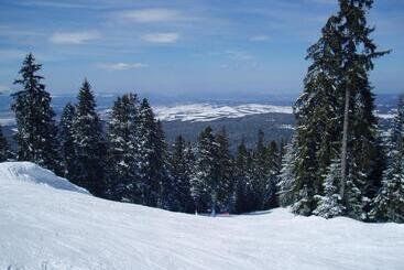 Apartments Flora Daisy