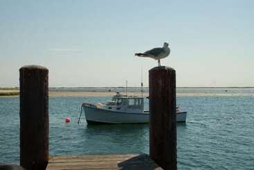 مبيت وإفطار A Little Inn On Pleasant Bay