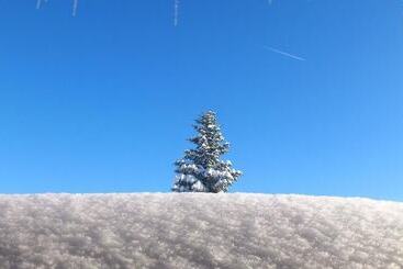 هتل آپارتمان Garni