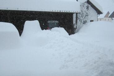 پانسیون Gästehaus Holzfeind