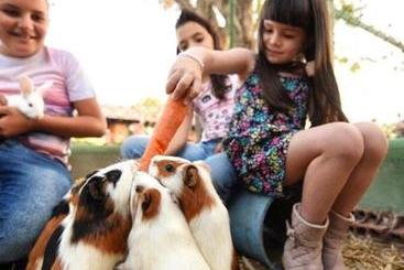 Пансион Pousada Fazenda Santa Fe